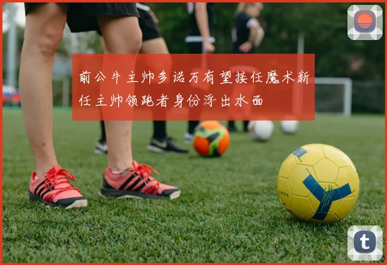 前公牛主帅多诺万有望接任魔术新任主帅领跑者身份浮出水面