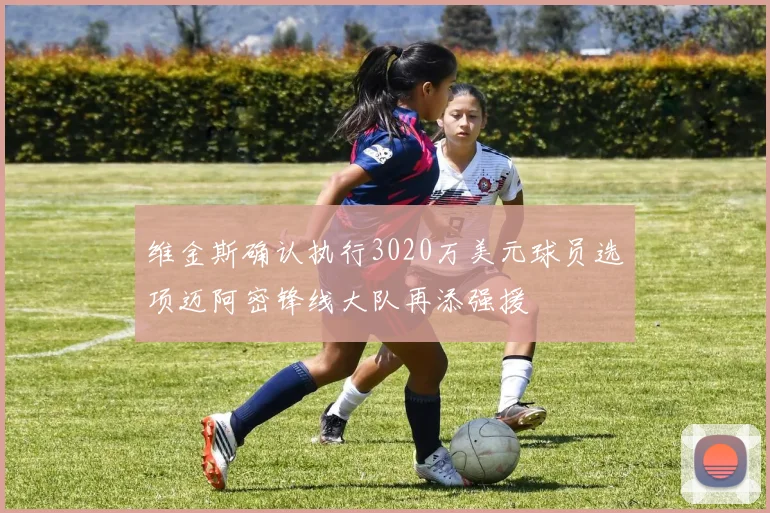 维金斯确认执行3020万美元球员选项迈阿密锋线大队再添强援